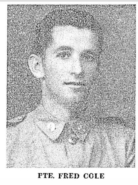 Photo of Private Frederick Selwyn Cole 
